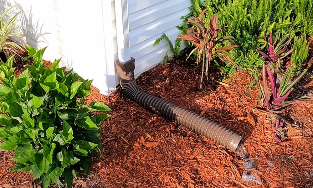 Flexible corrugated downspout extension directing rainwater into a landscaped garden bed.