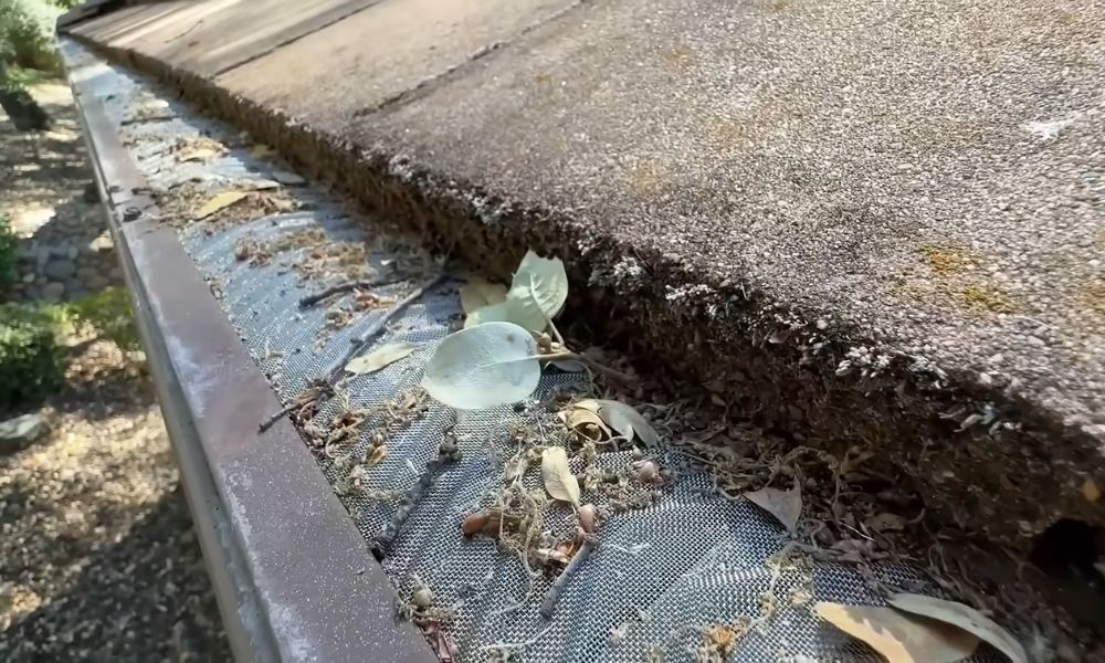 Gutter Guards
