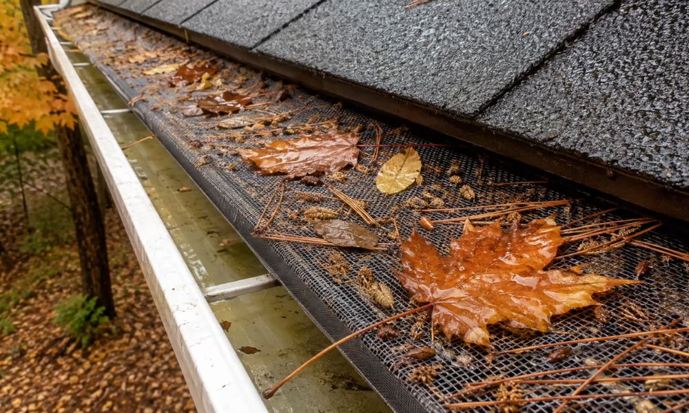 Pine needles, wet leaves, and tree debris collected on a mesh gutter guard along a shingled roof.